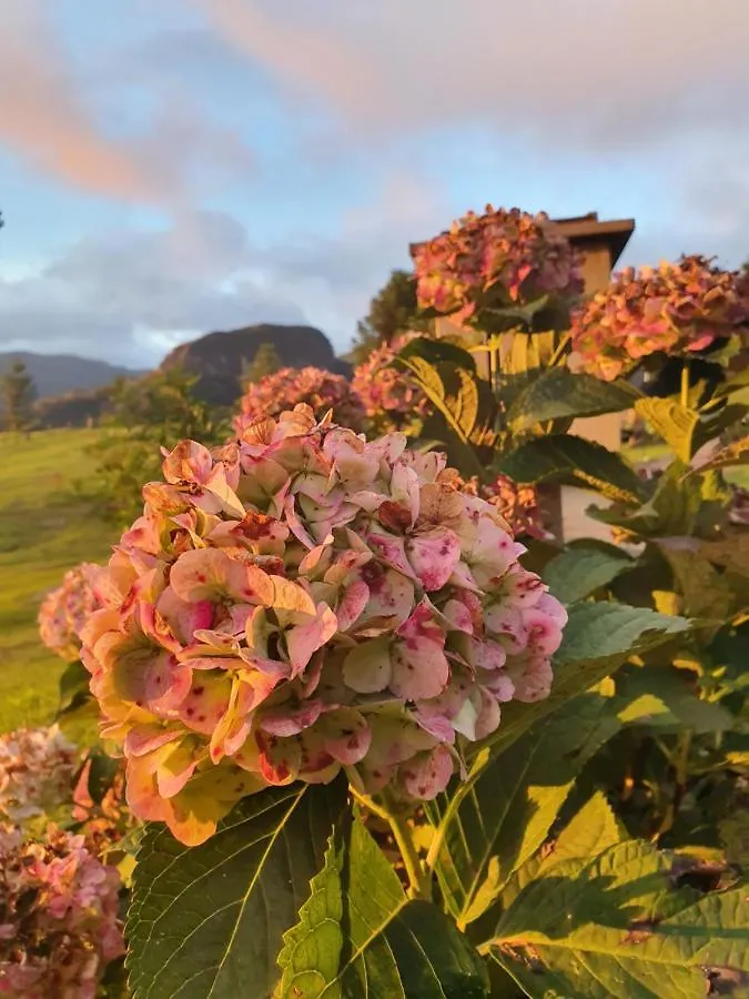 Pousada Flocos De Neve Urubici